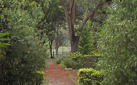 Forest Hills Farm And Guesthouse